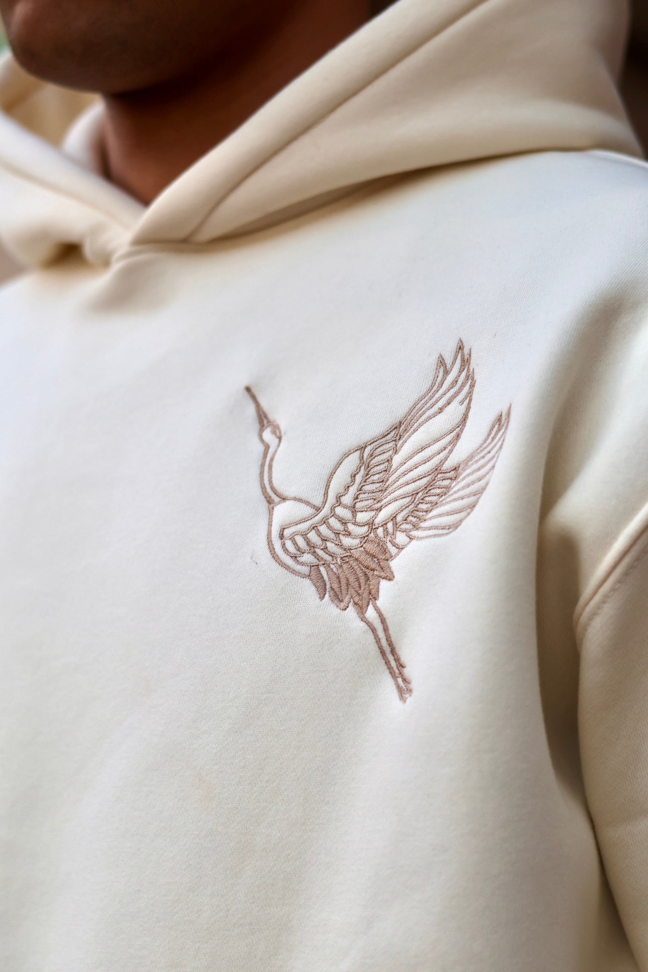 Freedom To Fly - Oversize Hoodie ￼
